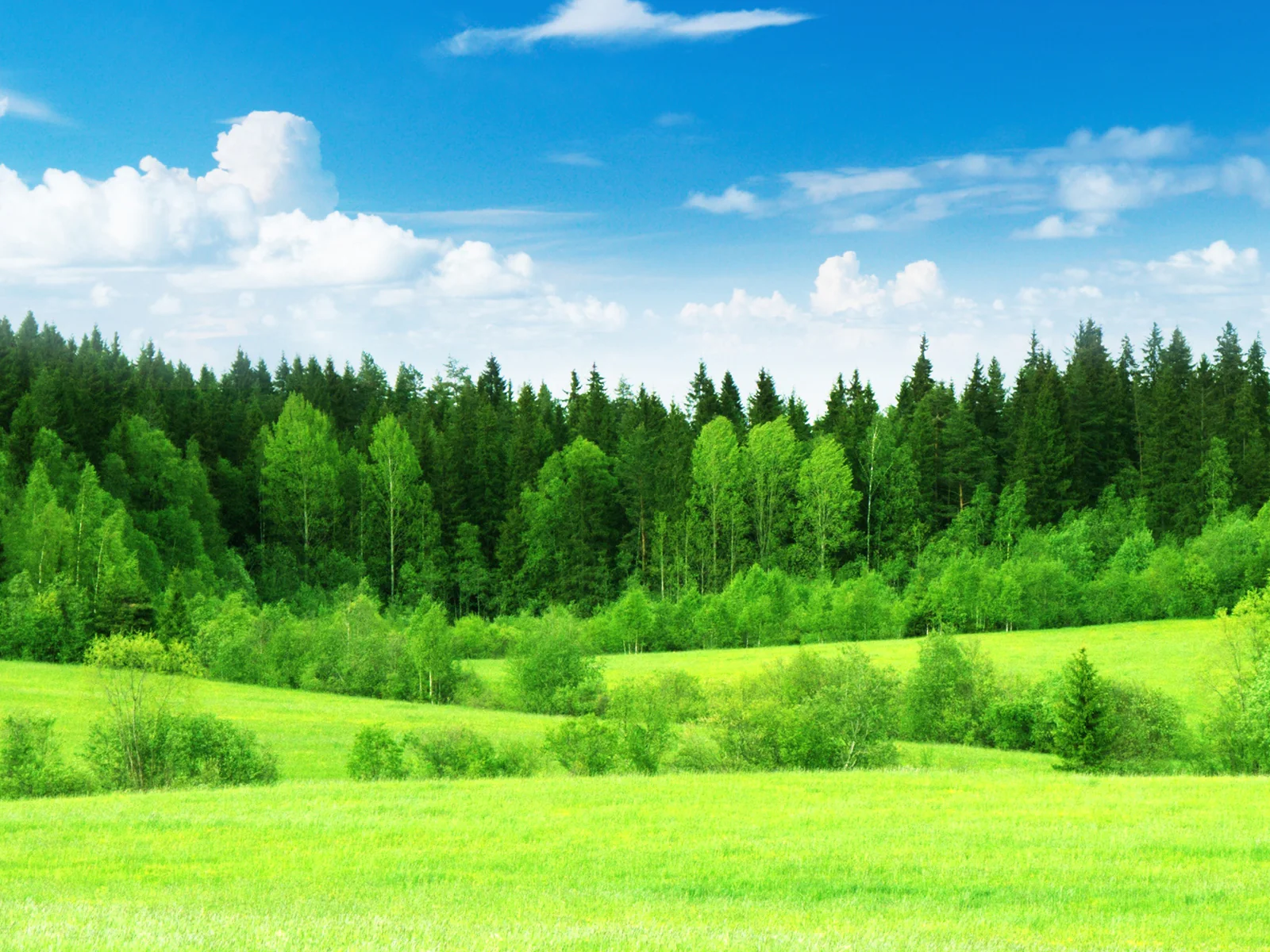 Ancestral Nutrition Delivered Direct